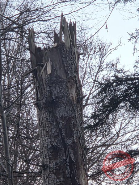 Kloster Kirchberg 2025 - 021