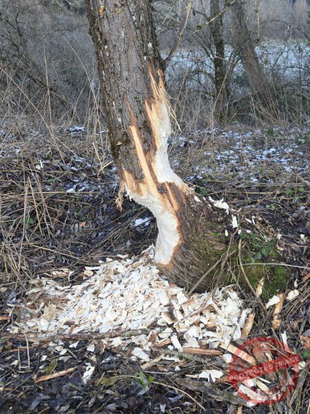 Kloster Kirchberg 2025 - 024