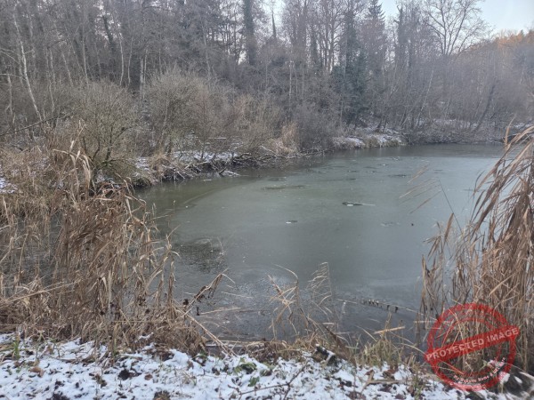 Kloster Kirchberg 2025 - 030