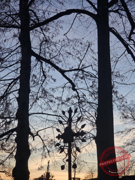 Kloster Kirchberg 2025 - 043