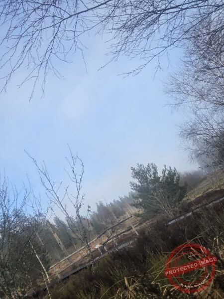 Lotharpfad 2025 - 003