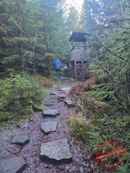 Lotharpfad 2025 - 018