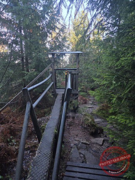 Lotharpfad 2025 - 020