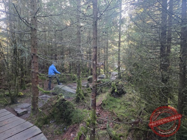 Lotharpfad 2025 - 021