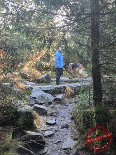 Lotharpfad 2025 - 026