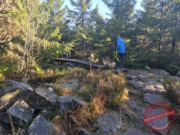 Lotharpfad 2025 - 028