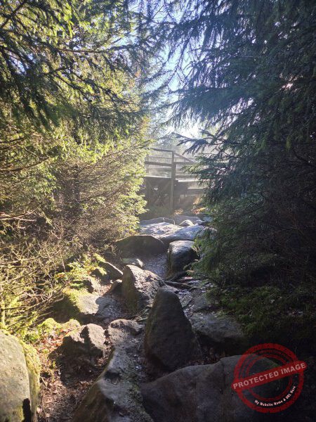 Lotharpfad 2025 - 029