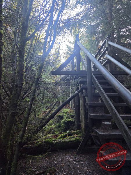 Lotharpfad 2025 - 031