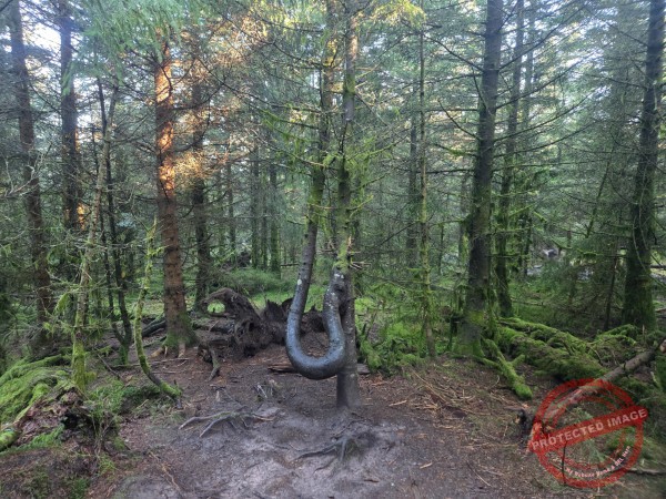 Lotharpfad 2025 - 032