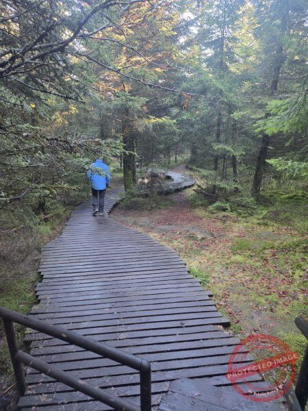 Lotharpfad 2025 - 035