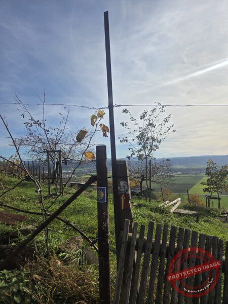 Wurmlinger Kapelle_2025-11-05 Rundweg - 005