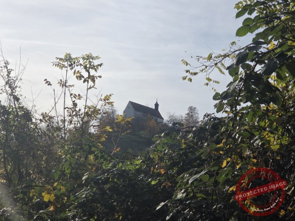 Wurmlinger Kapelle_2025-11-05 Rundweg - 019