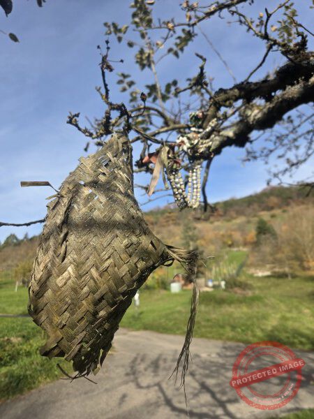 Wurmlinger Kapelle_2025-11-05 Rundweg - 022
