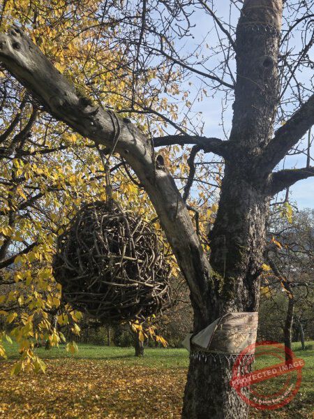 Wurmlinger Kapelle_2025-11-05 Rundweg - 024