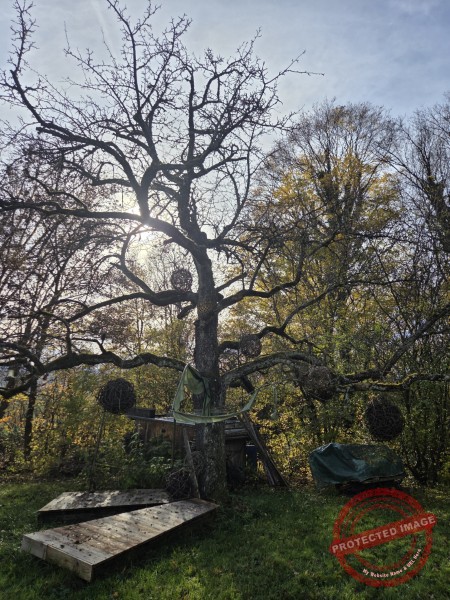 Wurmlinger Kapelle_2025-11-05 Rundweg - 029