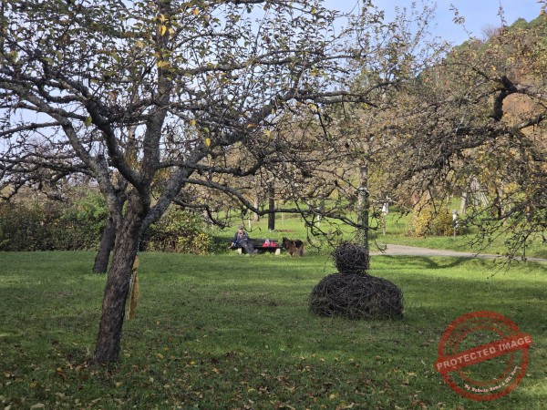 Wurmlinger Kapelle_2025-11-05 Rundweg - 033