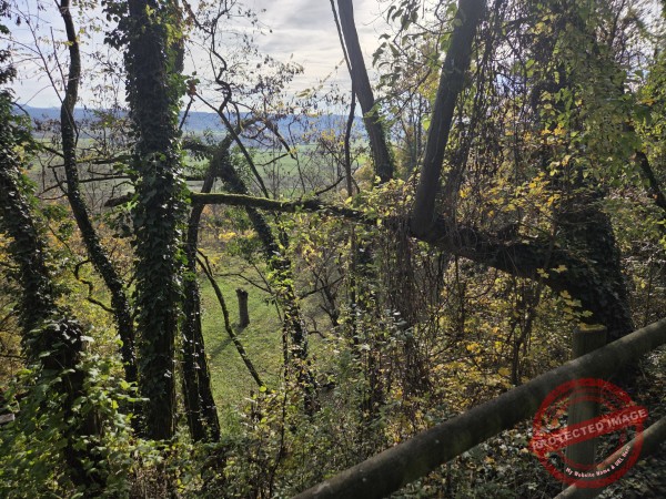 Wurmlinger Kapelle_2025-11-05 Rundweg - 037