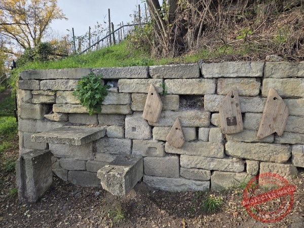 Wurmlinger Kapelle_2025-11-05 Rundweg - 039