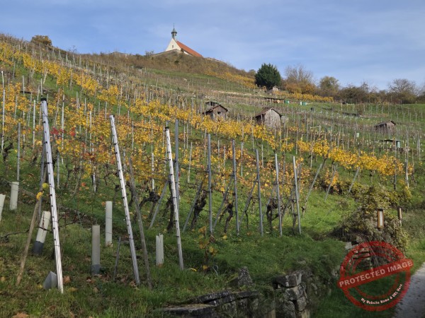 Wurmlinger Kapelle_2025-11-05 Rundweg - 046