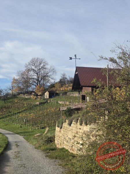 Wurmlinger Kapelle_2025-11-05 Rundweg - 052