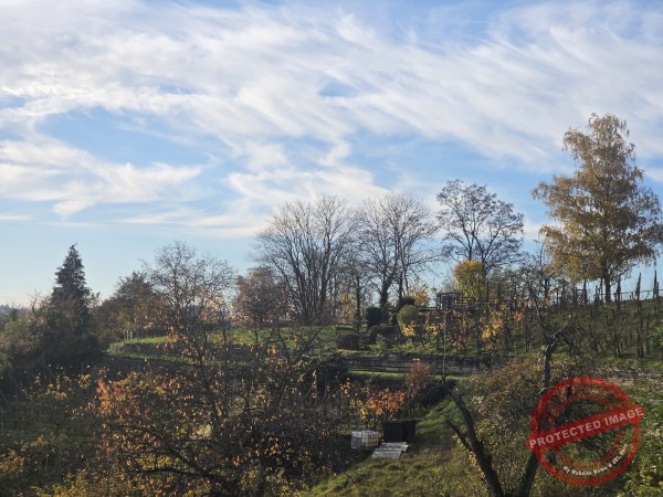 Wurmlinger Kapelle_2025-11-05 Rundweg - 054