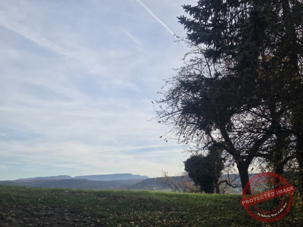 Wurmlinger Kapelle_2025-11-05 Rundweg - 061