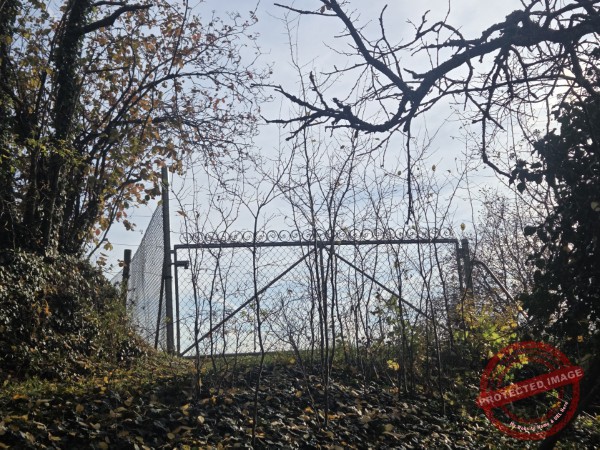 Wurmlinger Kapelle_2025-11-05 Rundweg - 062