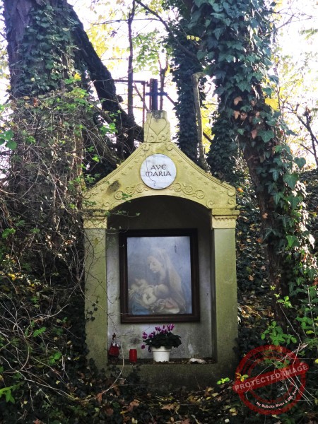 Wurmlinger Kapelle_2025-11-05 Rundweg - 063