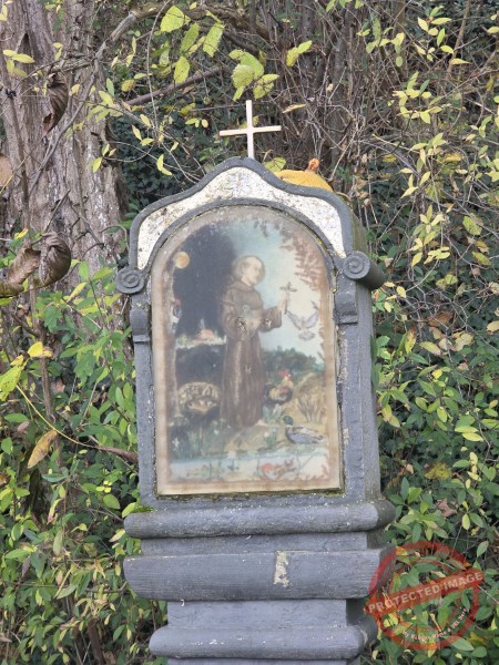 Wurmlinger Kapelle_2025-11-05 Rundweg - 064