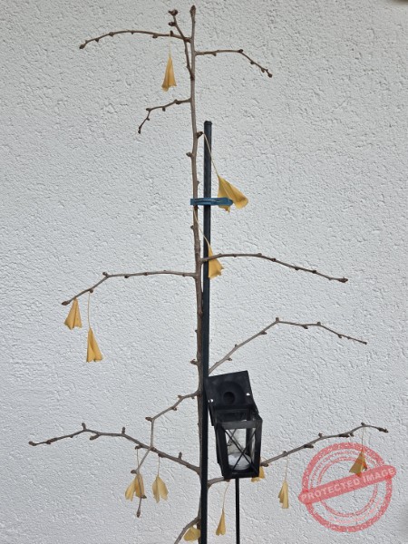 LB Blätter169
