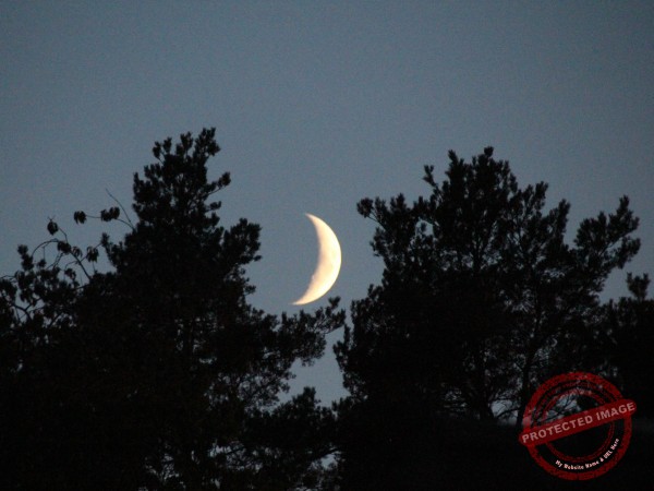 darf ich dir den Mond schenken?