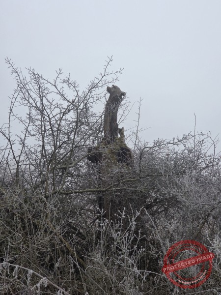 ich sag dir, wenn du los kannst