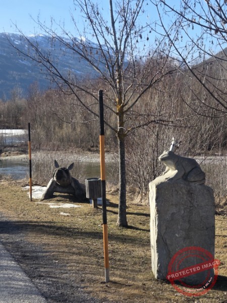 LB Tiere 222