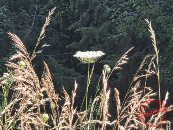 dud, Abendimpressionen 01