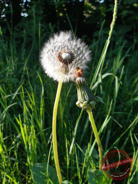 dud, Abendimpressionen 14