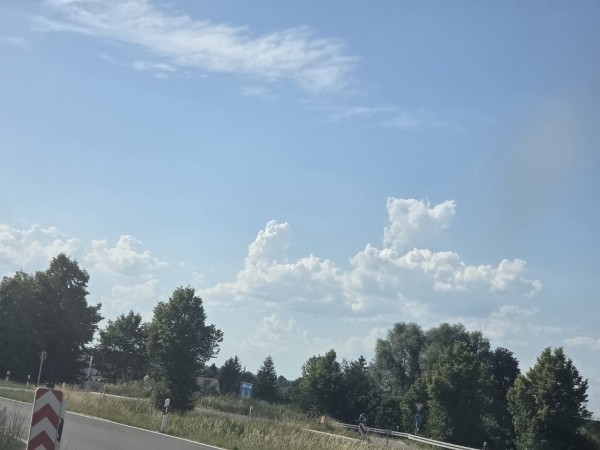 heute ist Hindernisspringen angesagt