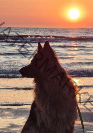 LB Eyka - 2023-05-19 Sylt