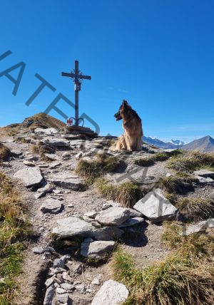 LB Eyka 2023-09-27, Bad Gastein