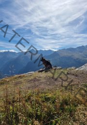 Urlaub Bad Gastein, Sept. 2023 - extra, Eyka 03