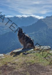 Urlaub Bad Gastein, Sept. 2023 - extra, Eyka 04