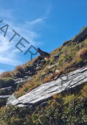 Urlaub Bad Gastein, Sept. 2023 - extra, Eyka 07